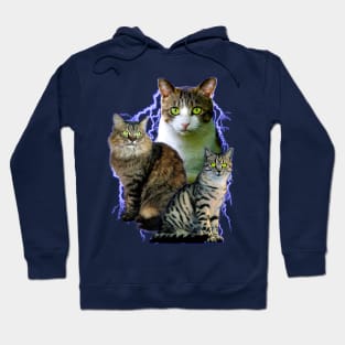 Lightning Cats - Vintage 90's Animal Design (it is so cool) Hoodie